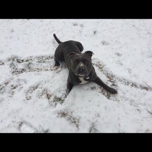 Meet your Posher, John